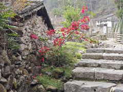 -MOJ coffee(瓯海泽雅水碓坑店)