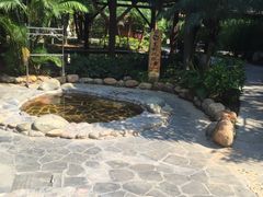 -佛山市三水温泉度假村