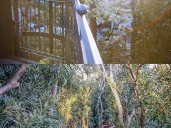 -三鹰之森吉卜力美术馆