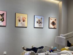 -洗脸猫·洗脸吧