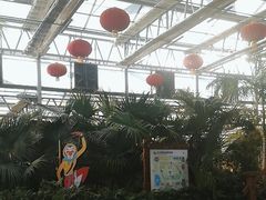 -南宫五洲植物乐园