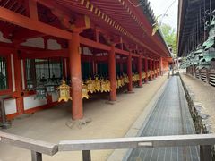 -奈良公园