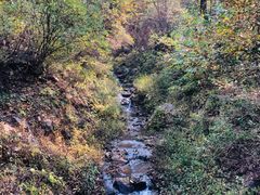 -天女山森林公园