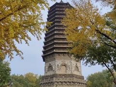 -玲珑塔公园