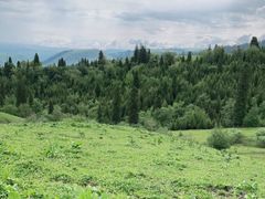 -新疆那拉提国家旅游度假区