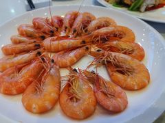 -欢乐海岸美食联盟
