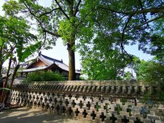 -窦圌山风景区