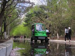 -长白岛森林公园