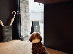 -常识咖啡common sense(春熙路店)