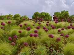 -嘉北郊野公园