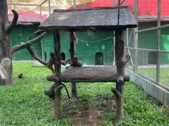 -深圳野生动物园