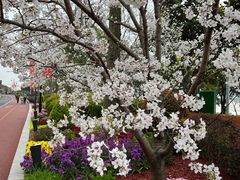 -北外滩滨江绿地