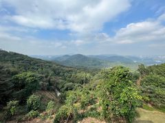 -黄埔油麻山森林公园