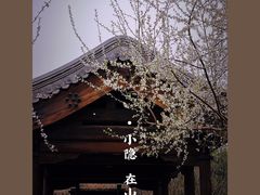 -三里河公园