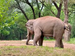 -北京野生动物园