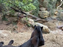 -天秀花园古月园