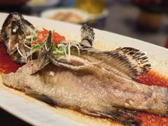 -鸽子侯·家宴·平价海鲜(绿地店)