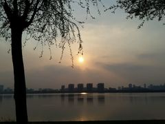 android_upload_pic-艾溪湖湿地公园