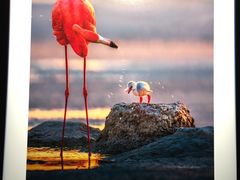 -罗红摄影艺术馆