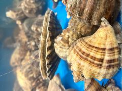 -丁字口海鲜热炒·烧烤大排档