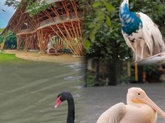 -南沙水鸟世界生态园