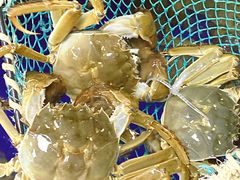 -阳澄湖大闸蟹·琼灵阁牌品牌连锁(吴中总店)