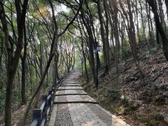 -苏州上方山国家森林公园