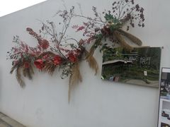 -白鹭湾湿地公园