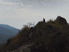 -白马涧龙池景区