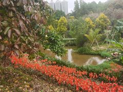 -中山市树木园