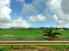 -西沃古尔·拉姆古兰爵士国际机场