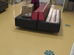 -瑞派天宁宠物医院·猫科·异宠中心