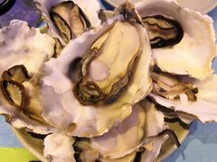 高压锅生蚝-千岛蚝高压锅生蚝·人参火锅(白云万达店)