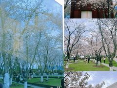 -龙美术馆(西岸馆)