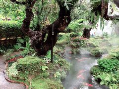 -Chom Cafe and Restaurant