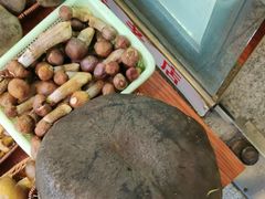 -草墩罗非鱼庄•野生菌•腊排骨(七星街上段店)