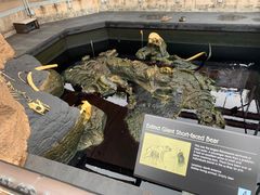 -圣地亚哥动物园