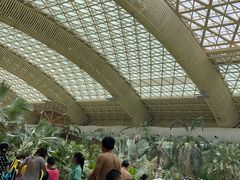 -杭州开元森泊度假乐园