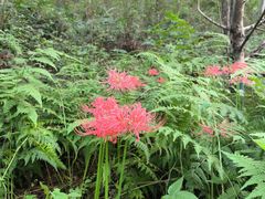-南京金牛湖风景区