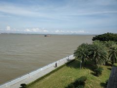 -大湾区中央湿地公园