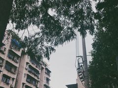 -贺记蛋烘糕(文庙西街店)