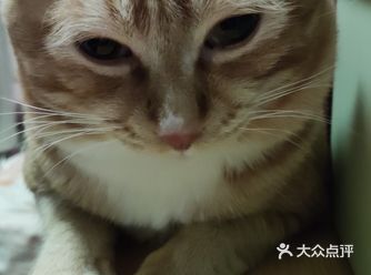 话说暑假已开启，炎炎夏日宅家中学多几门课，争取弯道超