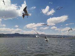-海埂大坝