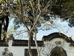 -无锡梅园公园