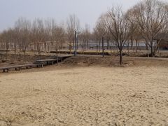 -东郊湿地公园