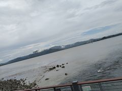 -深圳湾公园(南山区)
