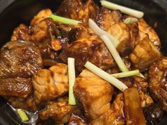 龙胆鱼-新海利海鲜城·41年珠海老字号(夏湾店)