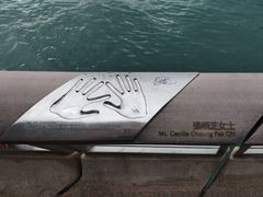-星光大道
