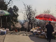 -阳台山自然风景区