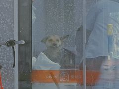 -宠物家(长阳店)